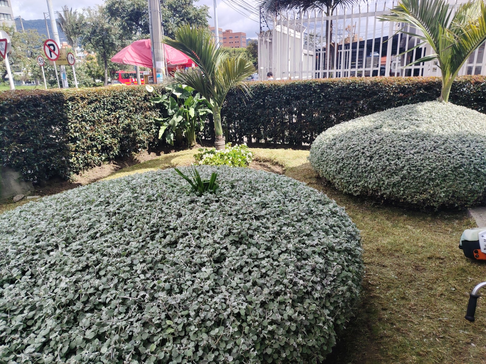 Proyecto de jardinería y mantenimiento